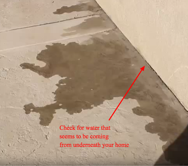 Water pooling on a light concrete floor near a wall, with a red arrow pointing to the source. Text reads: "Check for water from underneath your home."
