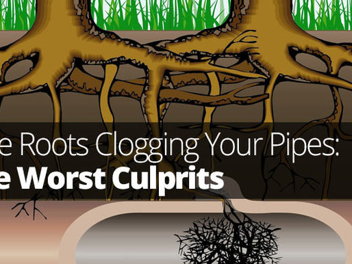 A graphic of a below ground cutaway showing tree roots sending tendrils growing into cracks in sewer pipes