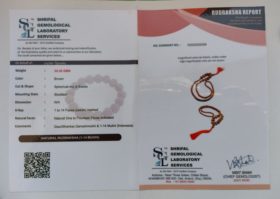 Thumbnail: Rudraksha Siddha Mala Indonesian 1 - 14 Mukhi With Lab Certificate