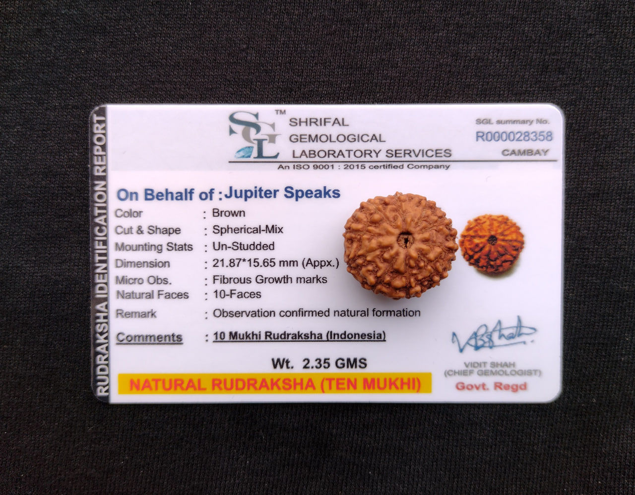 10 Mukhi Rudraksha Indonesia 21mm Collector Size with Lab Certificate