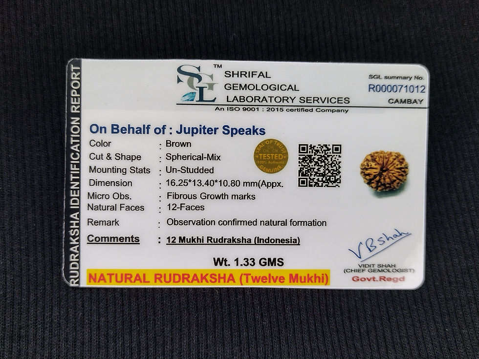 Thumbnail: 12 Mukhi Rudraksha Indonesia 16mm