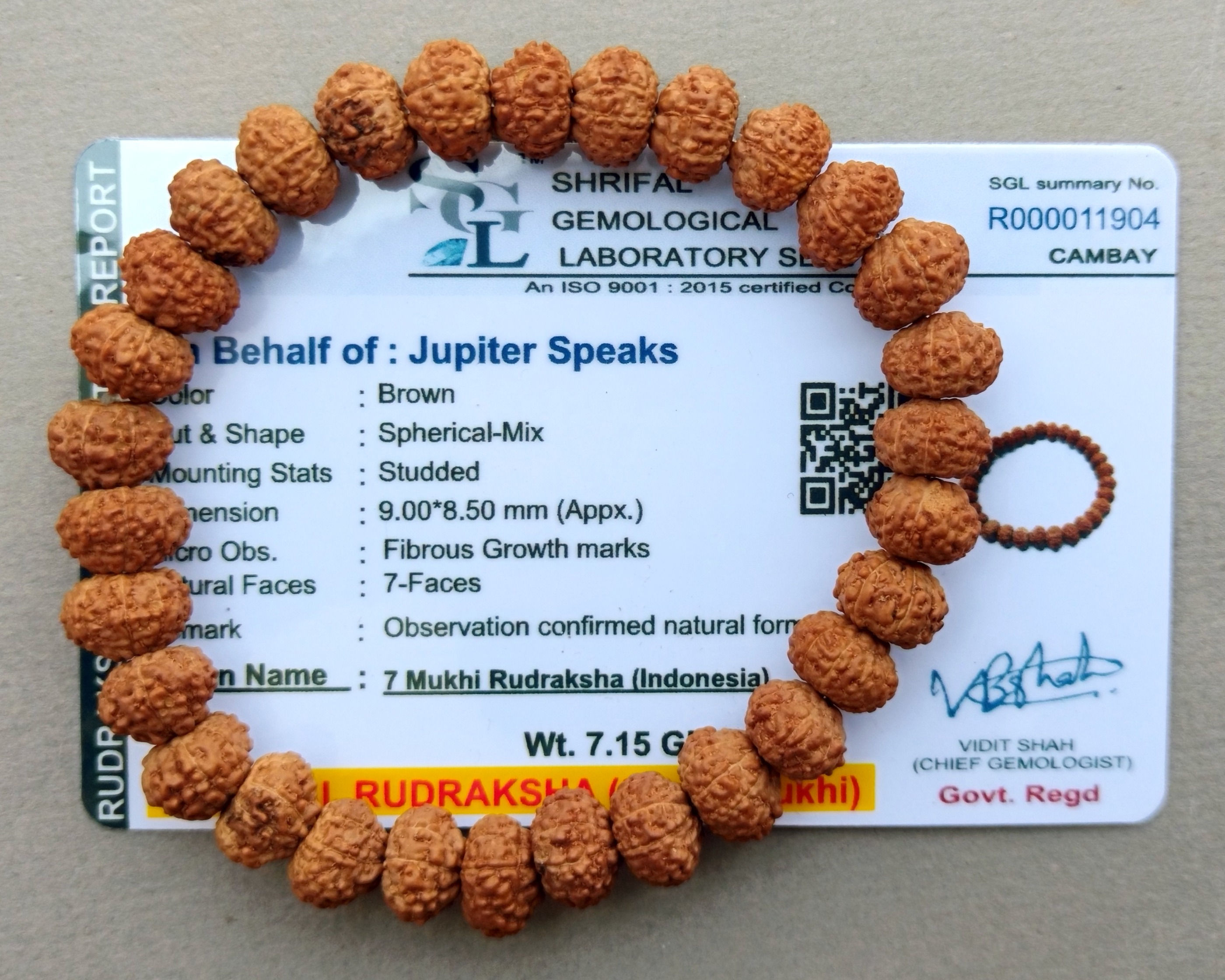 7 Mukhi Rudraksha Bracelet Lab Certified