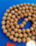 Natural 6 Mukhi Rudraksha Mala