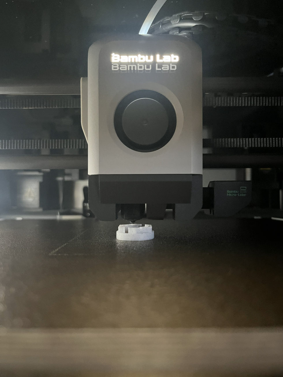 3D Printing in progress