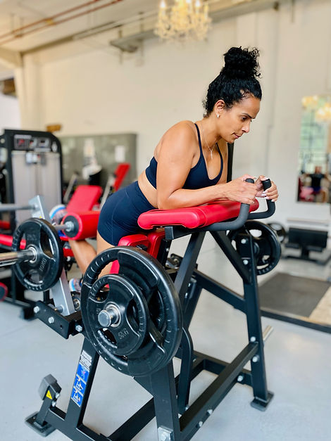 New Iron Lifestyle hamstring curl Fitness Erlenbach Küsnacht Meilen Männedorf
