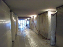 asbestos1.jpg