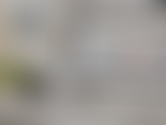 The Importance of SEO: A Beginner’s Guide to Ranking Higher on Google