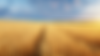 20.png