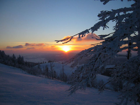 soleil d'hiver 1.jpg