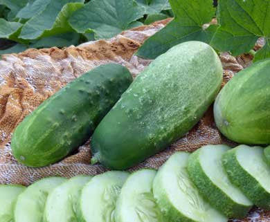 Homemade Pickles