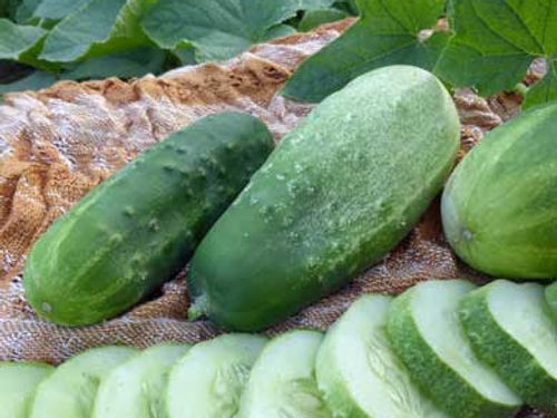 Homemade Pickles