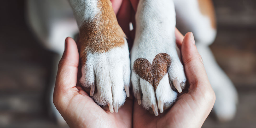 Thumbnail: Grow It Forward Today