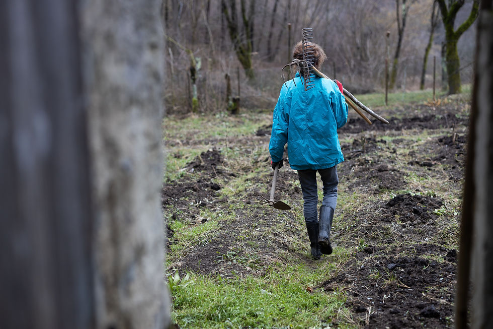 Person in a bright blue jacket walks away through a muddy field, carrying a rake and hoe in a bare wooded area.