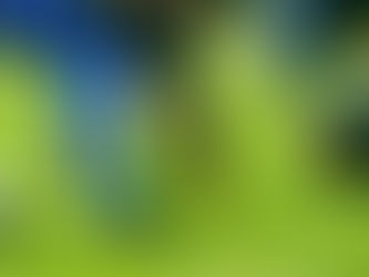 Exeter Kitchen Store supports Alphington FC and gives back