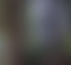 TALVEZ EU NÃO SAIBA ANDAR