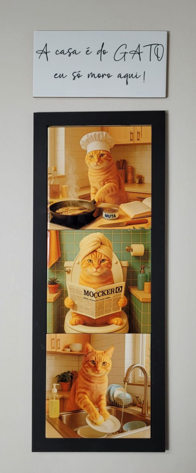 Miniatura: O dono da casa é o Gato