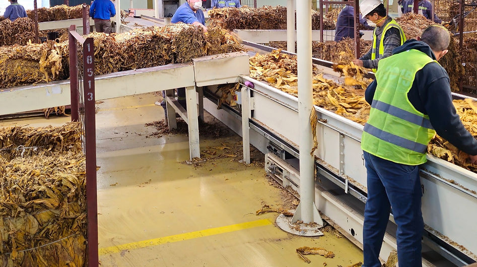 0062d28858d55f52216d2eb8c332d63b_edited.