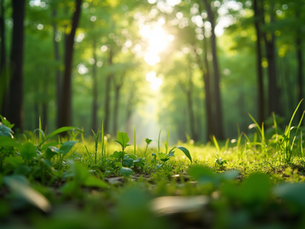 The Importance of Sustainable Living in Today's World