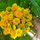 Thumbnail: Rose-Calendula Salve