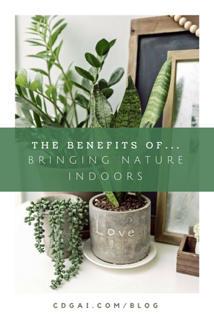 Bringing Nature Indoors