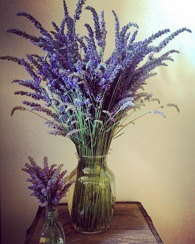 Thumbnail: Lavender-Yarrow Salve