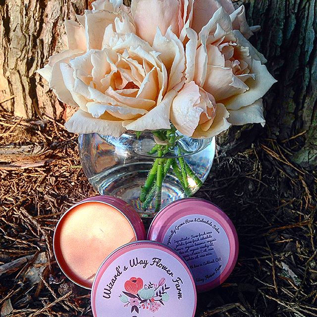 Thumbnail: 10- Pack Rose-Calendula Salve