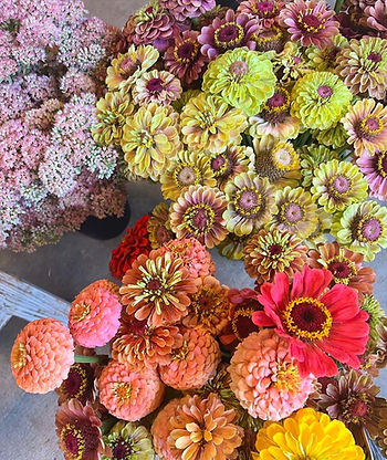 flowerbucket.JPG