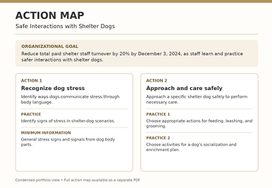 shelter_dogs_action_map_compact.png