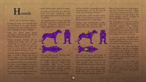 Hounds.jpg