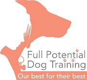 FullPotential_Logo_Color (3)_edited.png