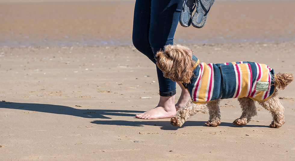 Thumbnail: Ruff and Tumble Classic Dog Drying Coat