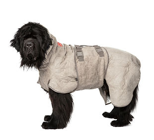 WDC-010307G.MAIN (1).jpg