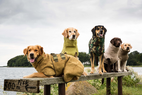 siccaro dog drying robe