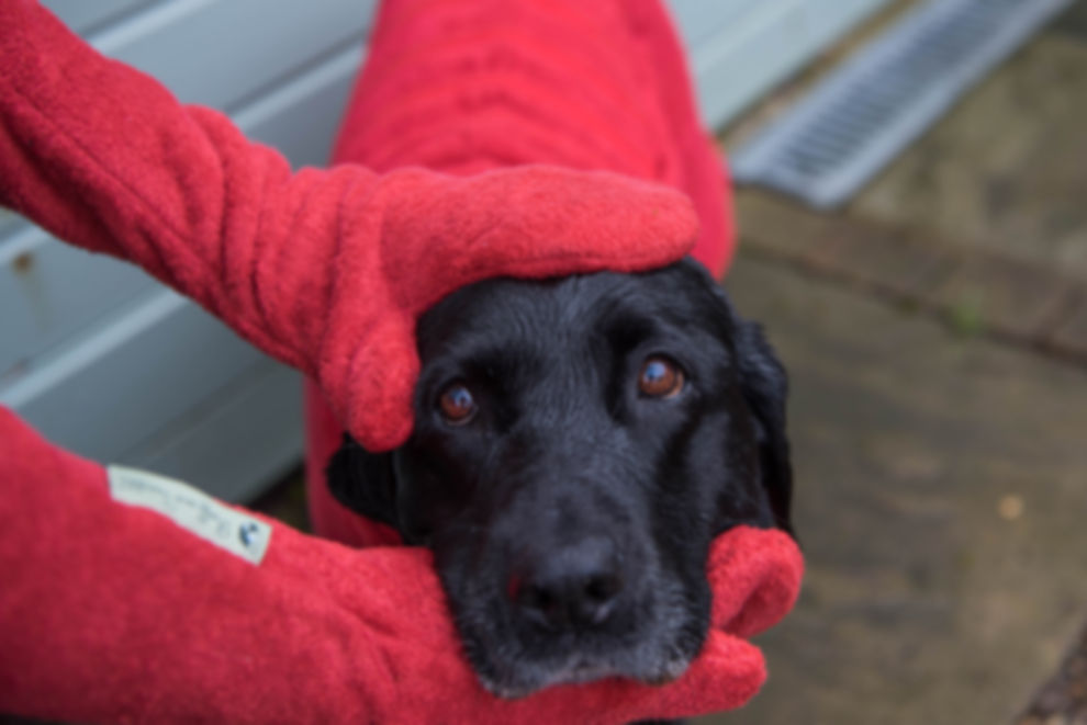Ruff and Tumble Drying Mitts