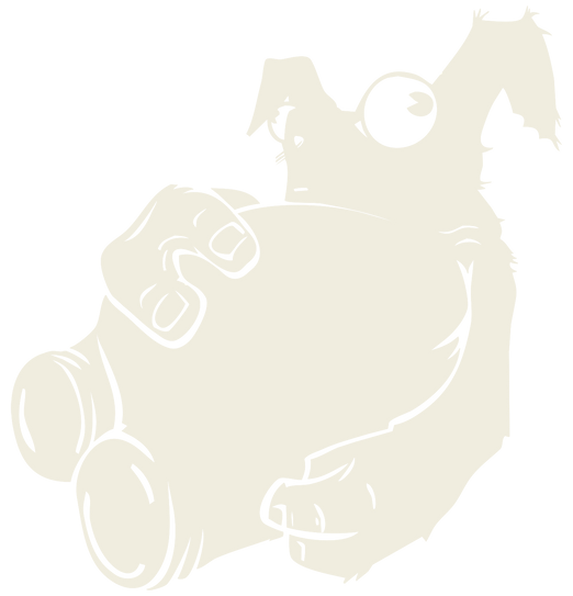 rabbit sitting but white