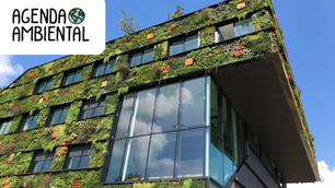 ¿Cómo hacer de tu oficina un lugar más sostenible?