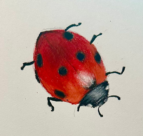 Ladybug in Pastels