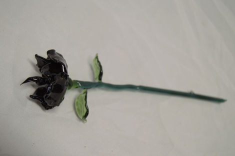 Black Rose