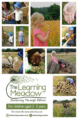 The Learning Meadow,Crockerton