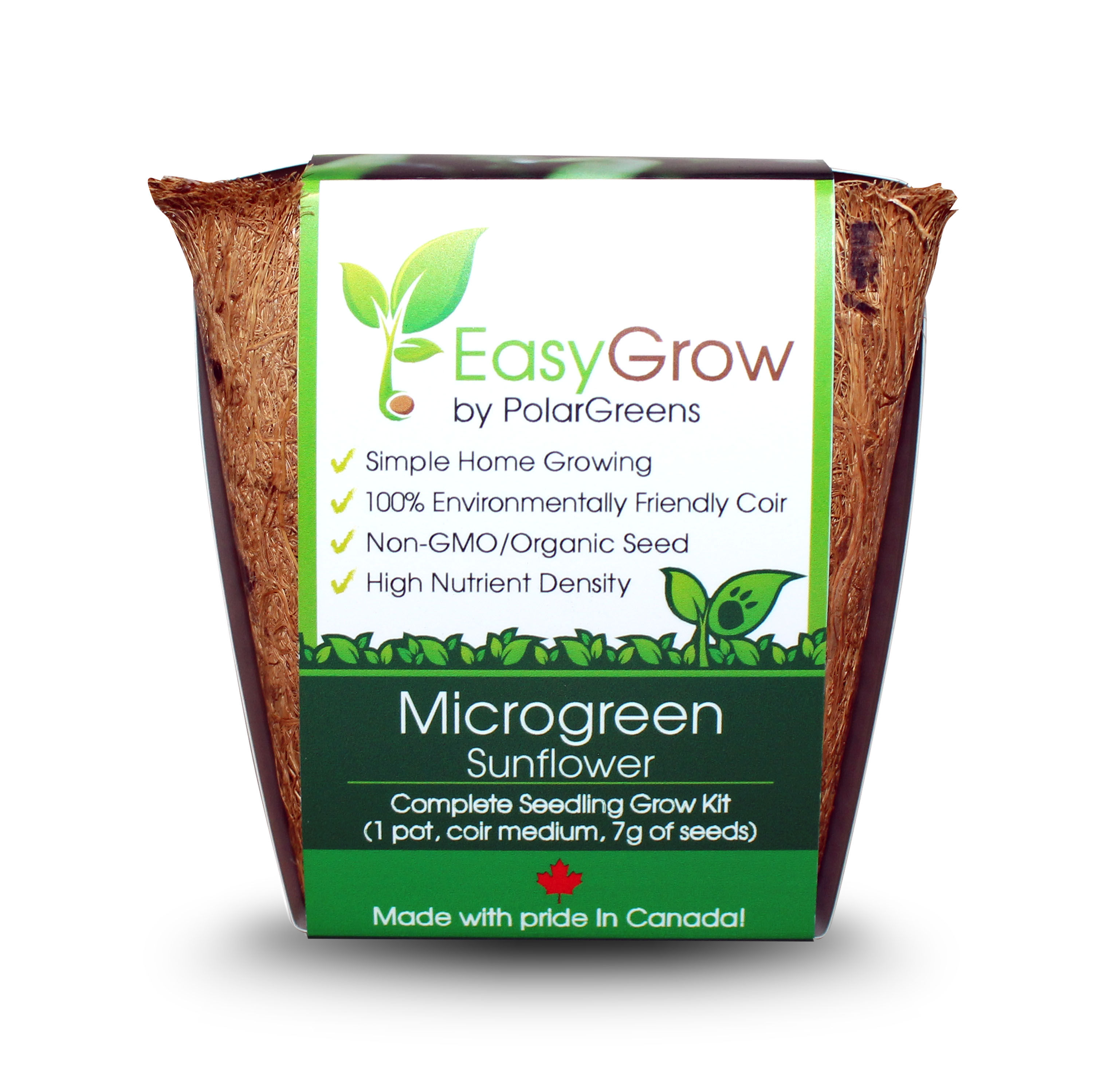 Microgreen - Sunflower