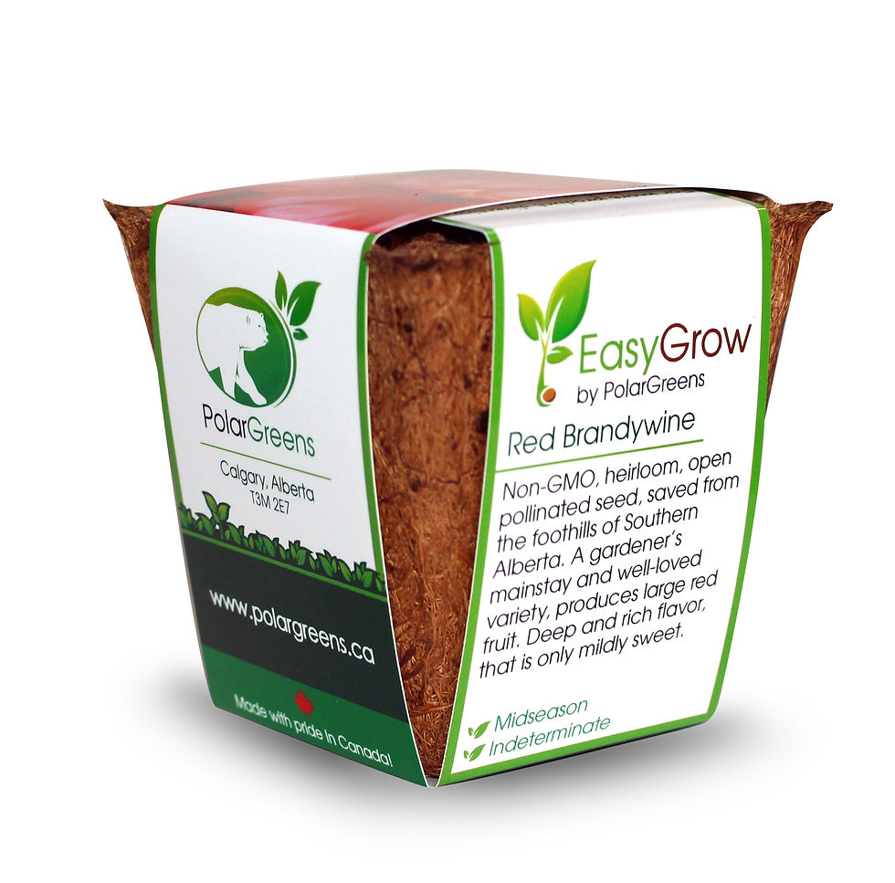 Thumbnail: Tomato - Red Brandywine