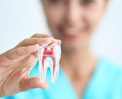 63f475902254e816dfe0bf6e_root canal therapy 3.jpg