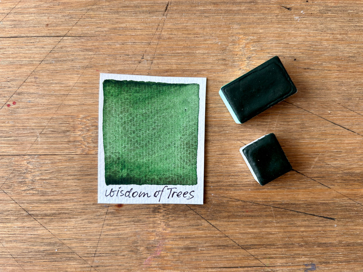 WISDOM OF TREES Handmade Watercolor Paint single pan granulating-granulations-hooker green