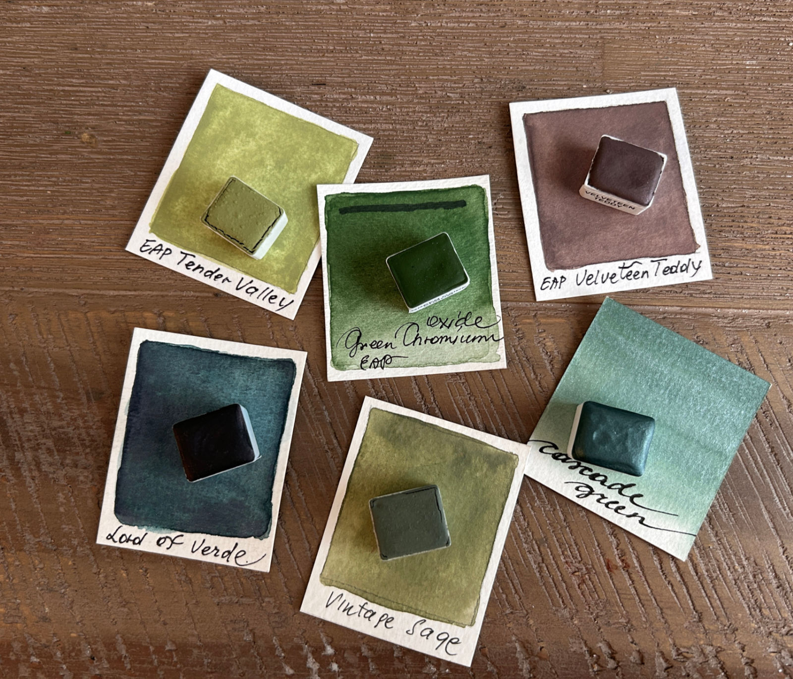 Watercolor paints handmade set with 6 pans Enchanted Plants III