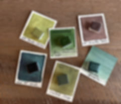 Watercolor paints handmade set with 6 pans Enchanted Plants III