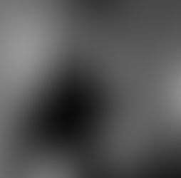 Int.|Livre : X.Boissel, Sommeil de Cendres