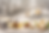 fondo web 2.png