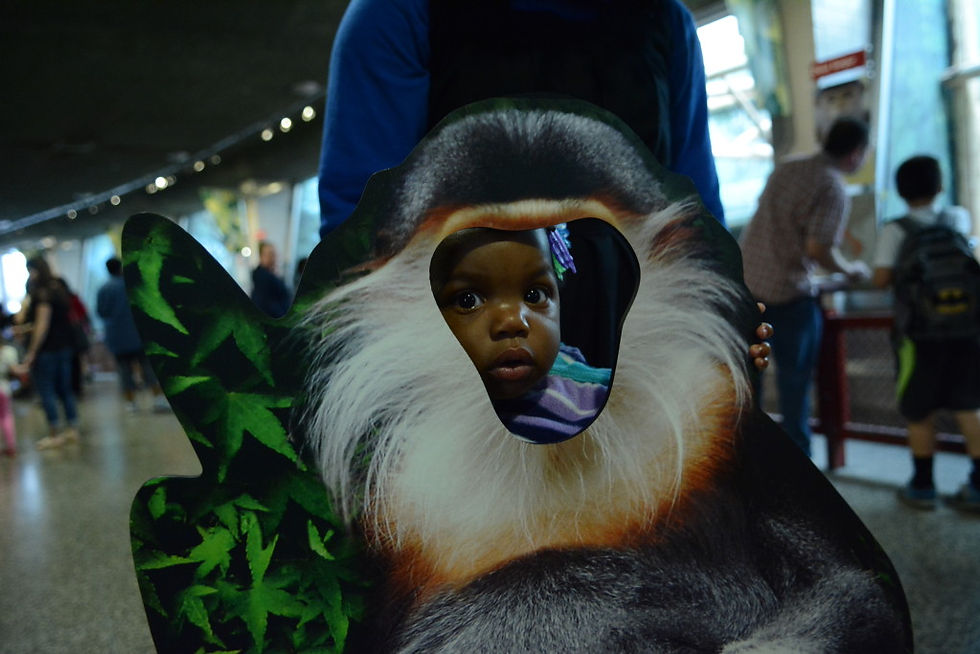 Empowering Teen Parents: How ECPConnect Makes a Difference