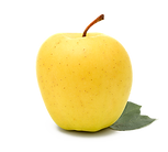 honeygold.png