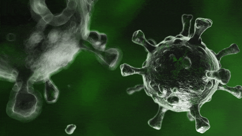 Coronavirus-Mutation-Concept.gif